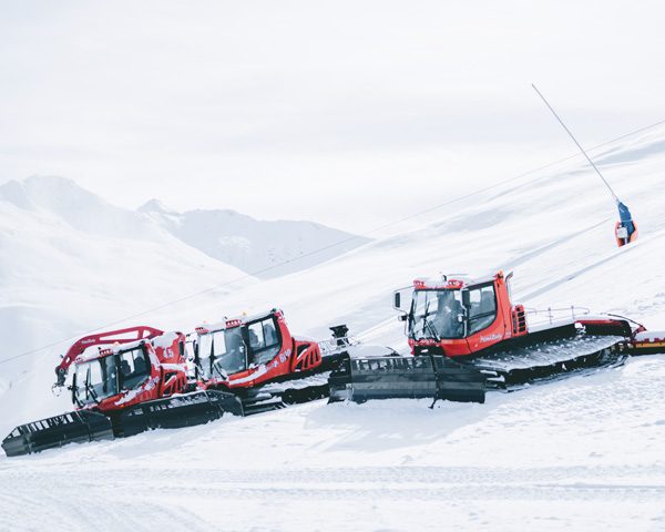 Gattisti della ski area Mottolino a Livigno