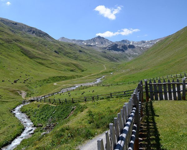 MOT-600x480_Val_Federia